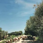 Turismo Rurale Maria Caterina Летний дом Кала-Гононе