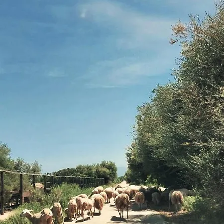 Turismo Rurale Maria Caterina Casa di campagna Cala Gonone