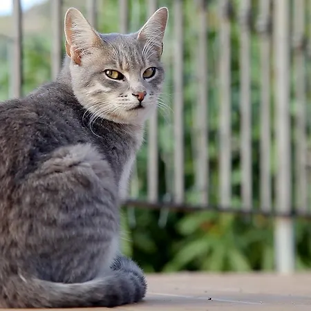 Turismo Rurale Maria Caterina Landsted