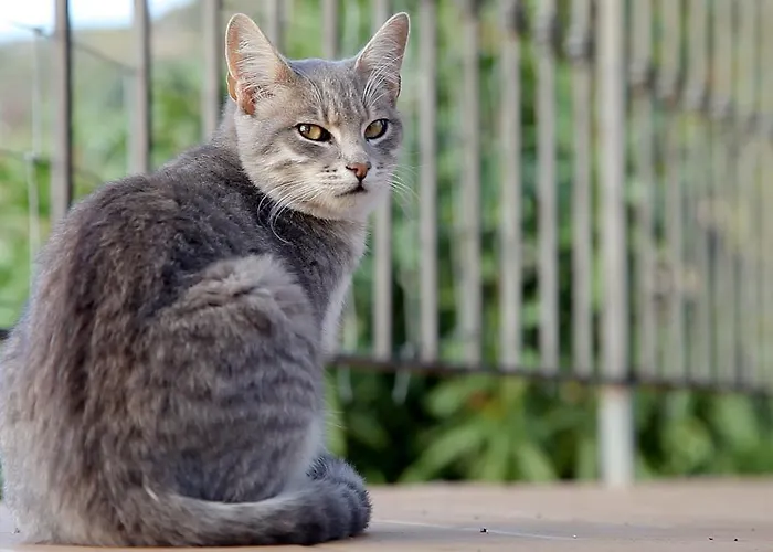 Turismo Rurale Maria Caterina Lantställe